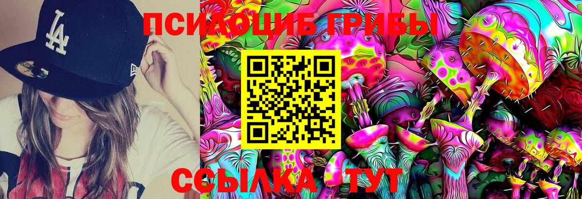 закладка  Вход с VPN  Назарово  Галлюциногенные грибы Psilocybine cubensis  Псилоцибиновые грибы Psilocybe 
